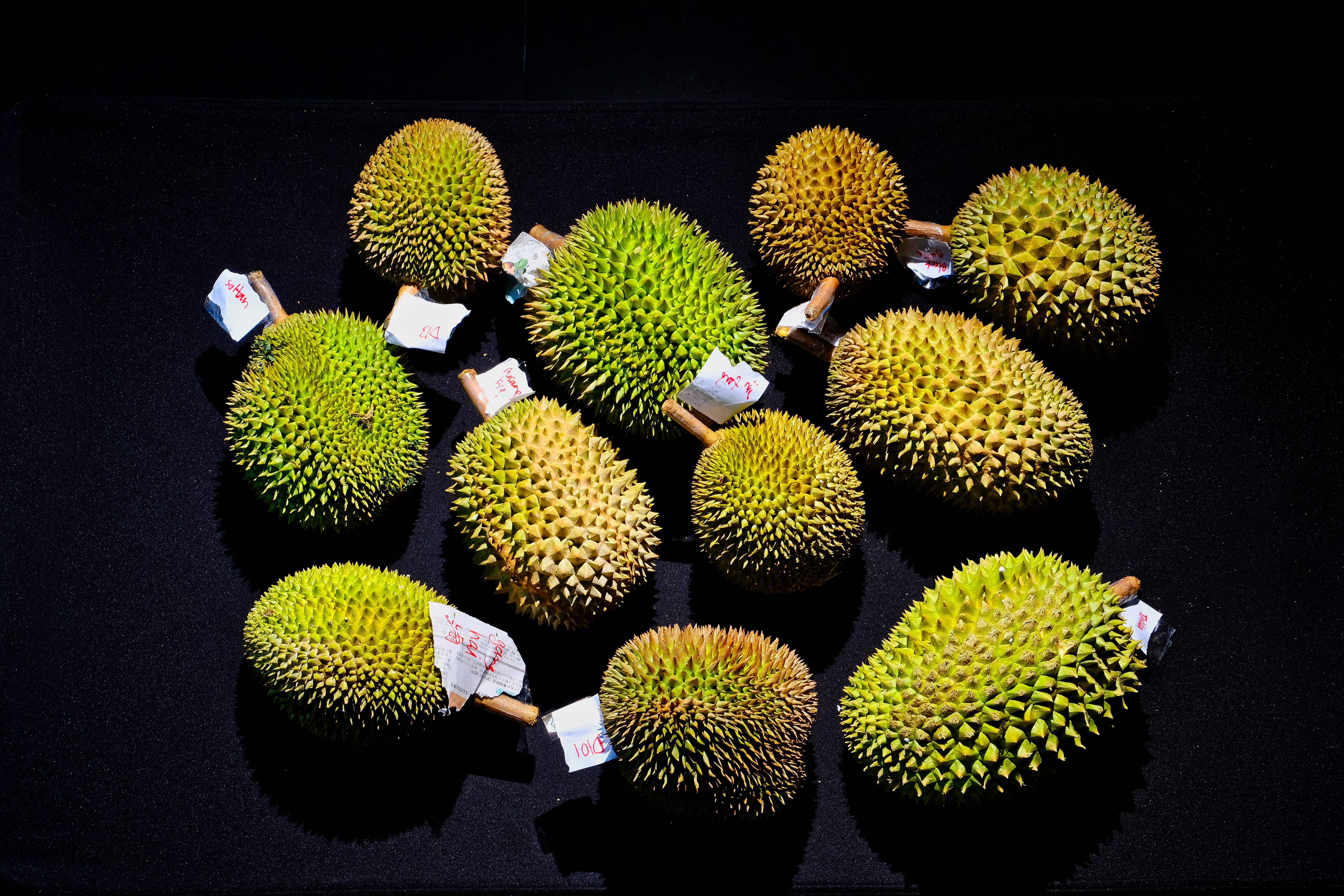 Durian Fever